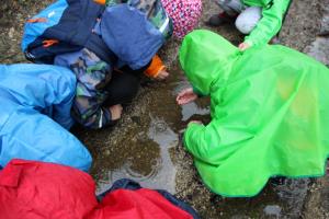 IMG_5124 (1024 x 683)